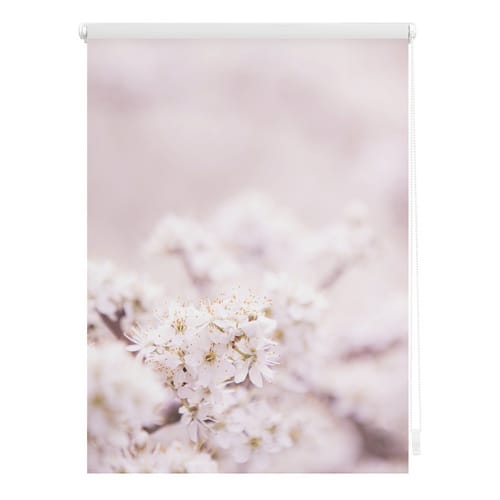 Lichtblick Rollo, ‎‎Klemmfix, 60x150 cm‎‎, Kirschblüten, rosa weiß - weiss