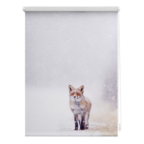 Lichtblick Rollo, ‎‎Klemmfix, 120x150 cm‎‎, Fuchs im Schnee, weiß rot - weiss