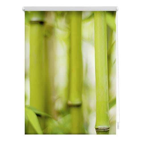 Lichtblick Rollo, ‎‎Klemmfix, 90x150 cm‎‎, Bambus, grün - gruen
