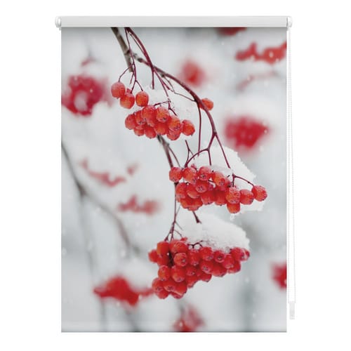 Lichtblick Rollo, ‎‎Klemmfix, 60x150 cm‎‎, Vogelbeeren, rot weiß