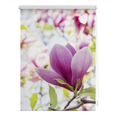 Lichtblick Rollo, ‎‎Klemmfix, 100x150 cm‎‎, Magnolie, rosa - rot