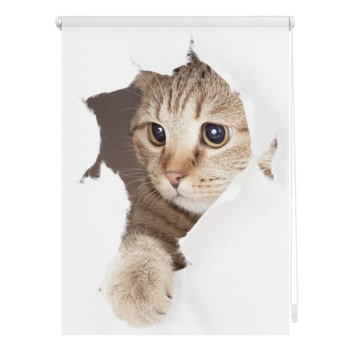 Lichtblick Rollo, ‎‎Klemmfix, 80x150 cm‎, Katze‎‎‎, weiß braun - weiss