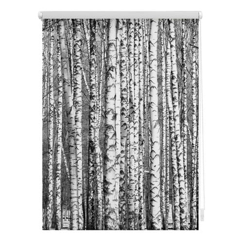 Lichtblick Rollo, ‎‎Klemmfix, 60x150 cm‎‎‎‎, Birken, schwarz weiß