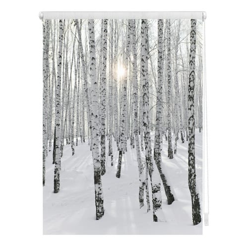 Lichtblick Rollo, ‎‎Klemmfix, 80x150 cm‎‎, Birkenwald, weiß - weiss