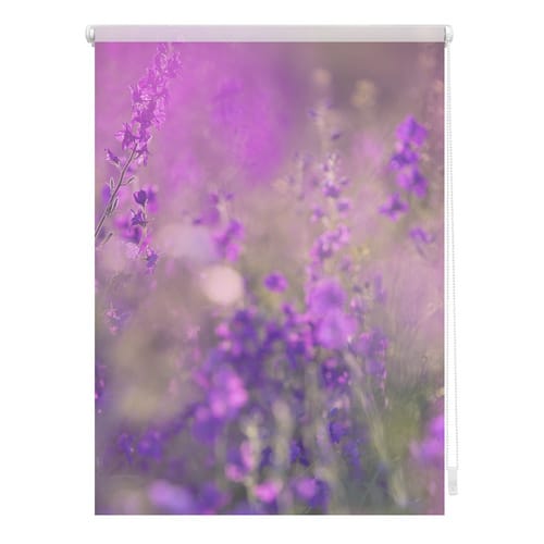 Lichtblick Rollo, ‎‎Klemmfix, 60x150 cm‎, Blumenwiese, fuchsia violett - lila