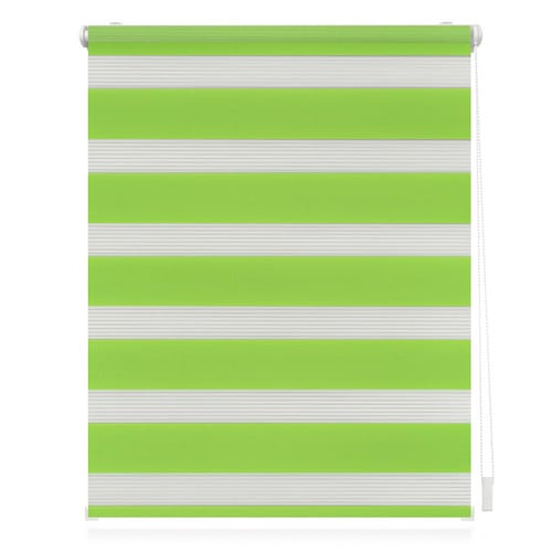 Lichtblick Duo-Rollo, ‎Klemmfix, B x L: 60 x 150 cm, Polyester, grün - gruen