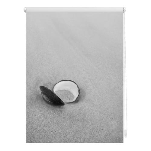 Lichtblick Rollo, ‎‎Klemmfix, 70x150 cm‎‎, Muschel, schwarz weiß - grau