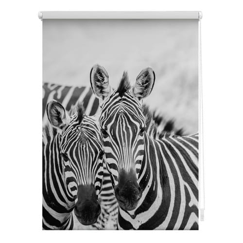 Lichtblick Rollo, ‎‎Klemmfix, 45x150 cm‎‎, Zebra, schwarz weiß