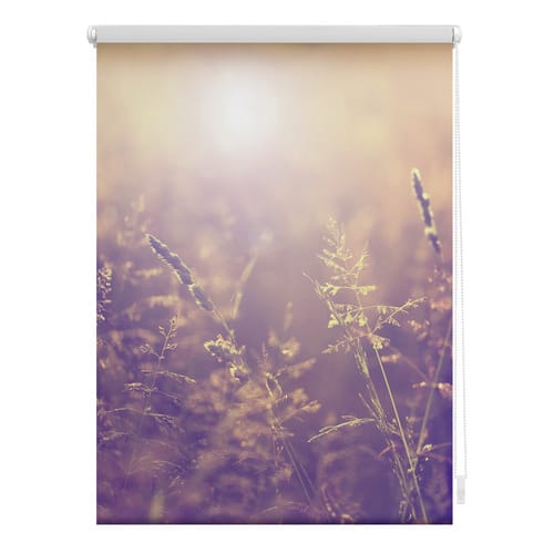 Lichtblick Rollo, ‎‎Klemmfix, 90x150 cm‎‎, Sommerabend, orange