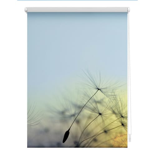 Lichtblick Rollo, ‎‎Klemmfix, 90x150 cm‎, Pusteblume, blau