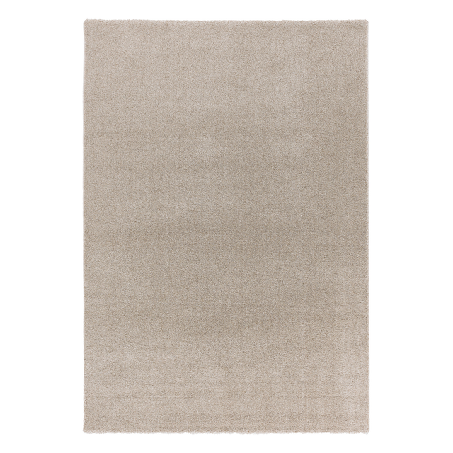 Astra Teppich »Savona«, BxL: 160 x 230 cm, Polypropylen - beige