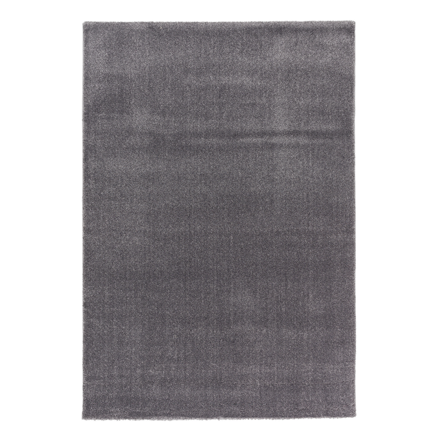 Astra Teppich »Savona«, BxL: 160 x 230 cm, Polypropylen - silberfarben