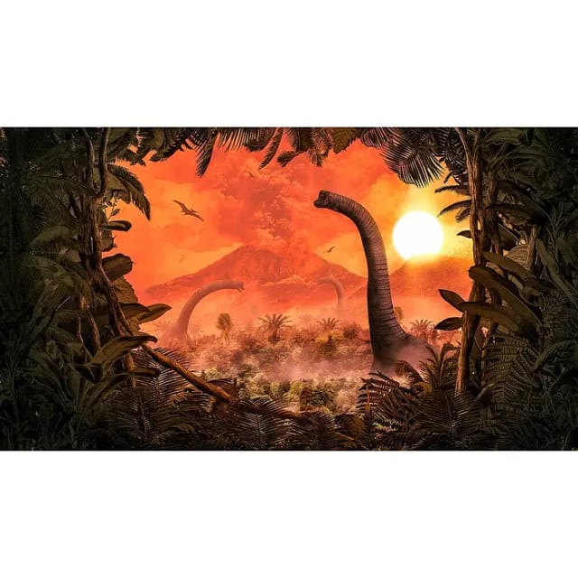 KOMAR Vliestapete »Into Adventure«, Breite 500 cm, matt - bunt