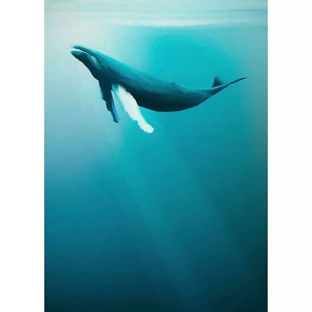 KOMAR Vliestapete »Into Adventure«, Breite 200 cm, matt - blau
