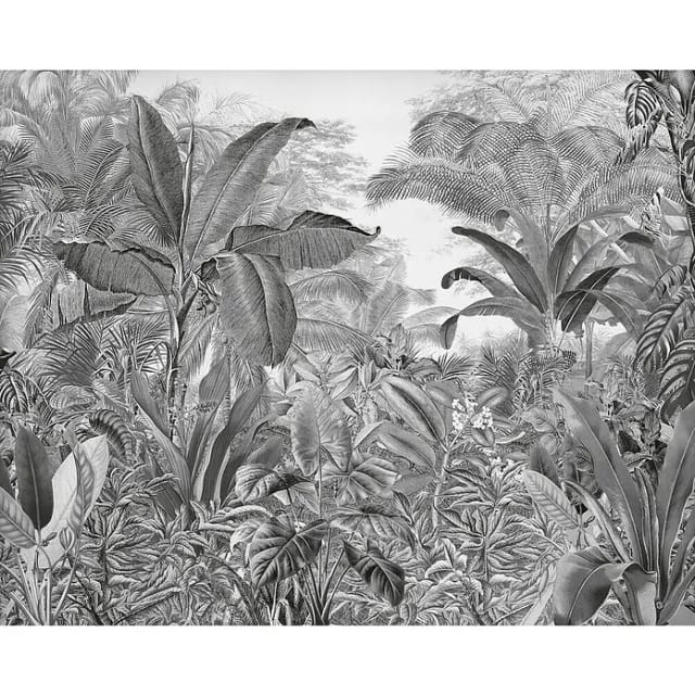 KOMAR Vliestapete »Into Adventure«, Breite 350 cm, matt - schwarz