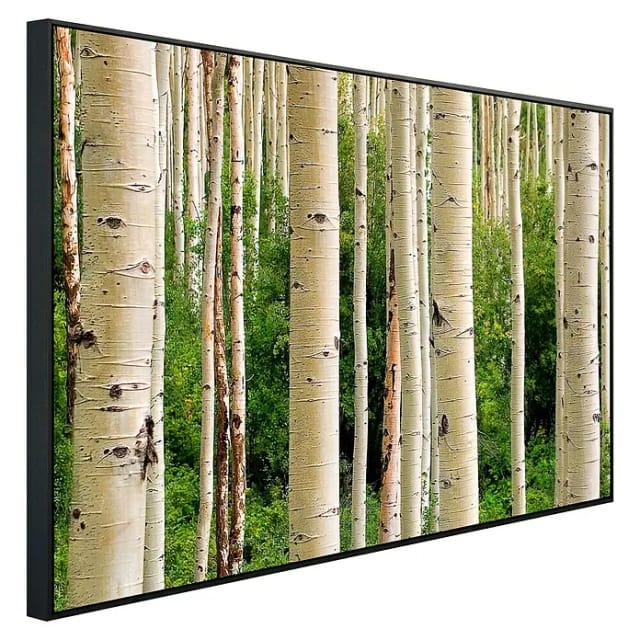 papermoon Infrarotheizung »EcoHeat - Aspen Woods im Sommer«, Matt-Effekt - bunt