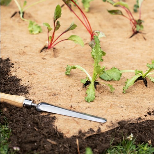 WINDHAGER Vlies, Mulchmatte, 0,75 x 4 m - beige
