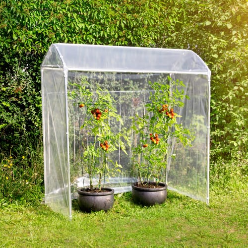 WINDHAGER Gewächshaus, für Tomaten - transparent