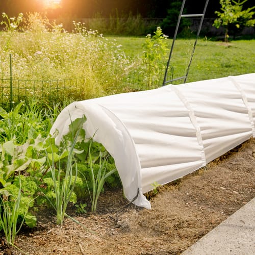 WINDHAGER Vlies, Tunnel HxL: 35 cm x 3 m - weiss