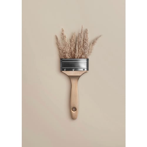 SCHÖNER WOHNEN FARBE Wand- und Deckenfarbe »Trendfarben«, cosy, 2,5l - beige