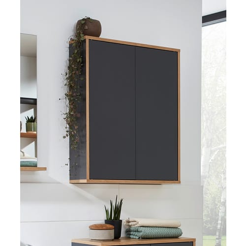 FACKELMANN Hängeschrank »FINN«, Anthrazit, 2 Türen, BxHxT: 60 x 75 x 20,1 cm - grau