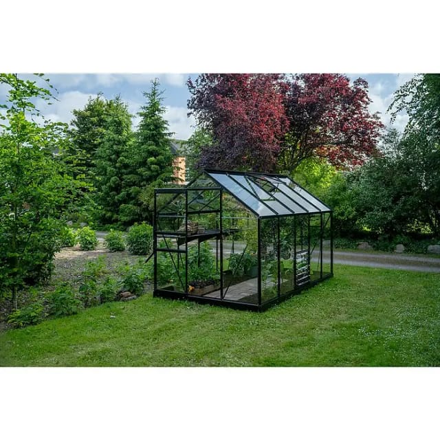 HALLS Gewächshaus »Popular«, 6,2 m², schwarz, 3 mm Sicherheitsglas