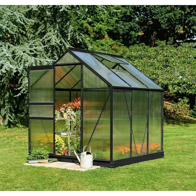 HALLS Gewächshaus »Popular«, 3,8 m², schwarz, 4 mm Stegdoppelplatten
