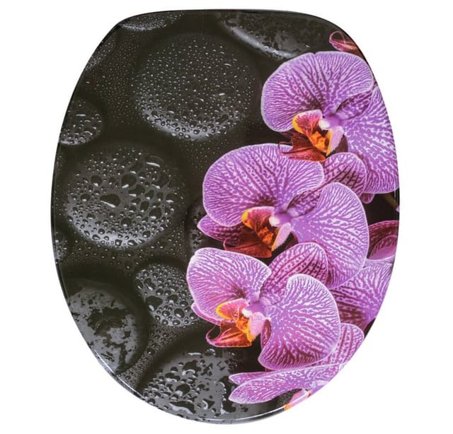 Sanilo WC-Sitz, BxL: 37,7 x 47 cm, Madeira - schwarz