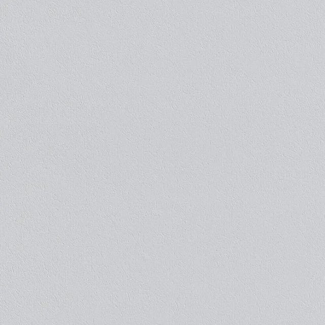 ERFURT Vliestapete »Variovlies Sisal«, BxL: 75 x 2500 cm, weiß - weiss