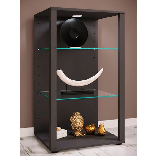 VCM Standvitrine »Glasol«, BxHxL: 52 x 90 x 44 cm - grau