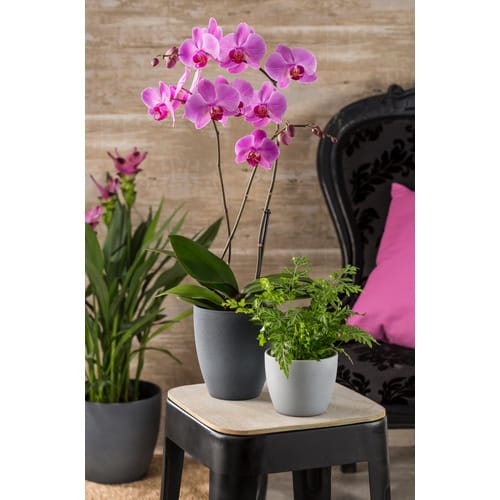 SCHEURICH Blumentopf »STONE«, Ø 19 x 17 cm, schwarz