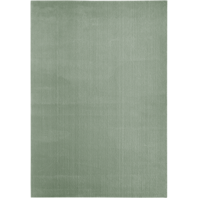 ANDIAMO Teppich »Arezzo«, 120x170 cm, salbeigrün - gruen