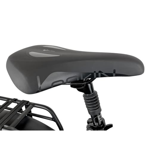 BLAUPUNKT E-Faltrad »Fridel«, max. 25 km/h, 24", 8 Gänge, mit Gelsattel - grau