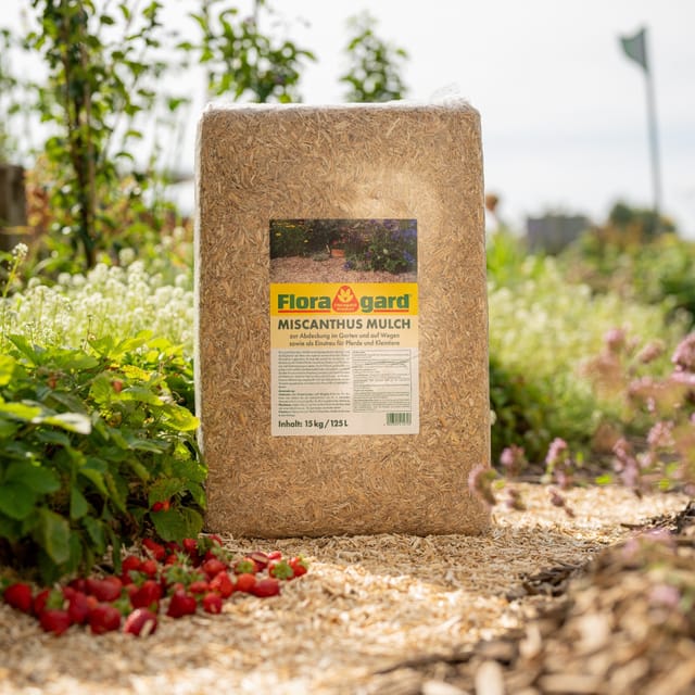FLORAGARD Mulch, Miscanthus Mulch, 125 Liter - braun