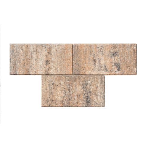 Mr. GARDENER Betonplatte »Figuera«, Beton, Muschelkalk, LxBxH: 40 x 20 x 4 cm - bunt