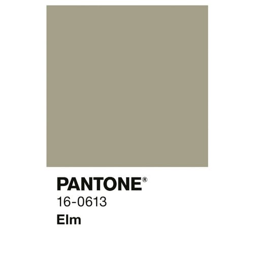ALPINA Wandfarbe »PANTONE«, Elm, matt, 2,5 l - beige