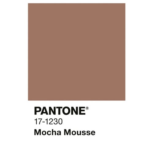 ALPINA Wandfarbe »PANTONE«, Mocha Mousse, matt, 2,5 l - braun