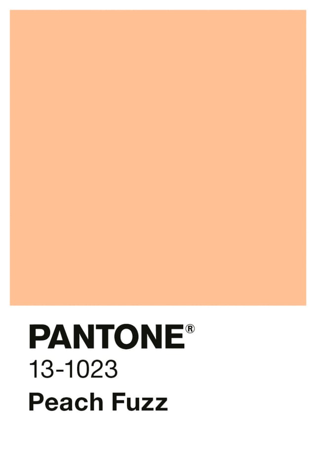 ALPINA Wandfarbe »PANTONE«, Peach Fuzz, matt, 2,5 l - orange