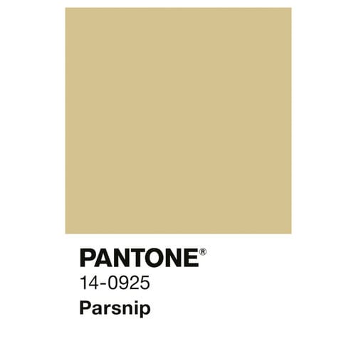 ALPINA Wandfarbe »PANTONE«, Parsnip, matt, 2,5 l - gelb