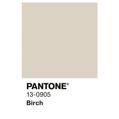 ALPINA Wandfarbe »PANTONE«, Birch, matt, 5 l - beige