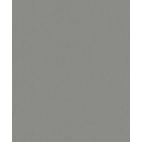 ERFURT Vliestapete »Vliesfaser Colour 302-2«, 53 cm x 1005 cm, grau