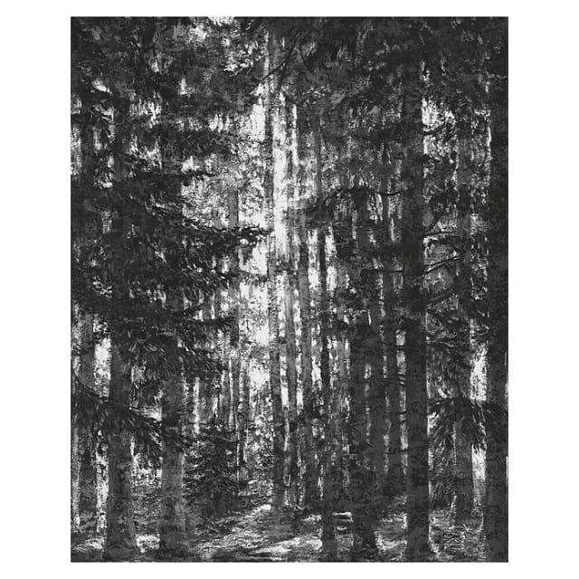 Komar Fototapete Lustres Lapland 200 cm x 250 cm