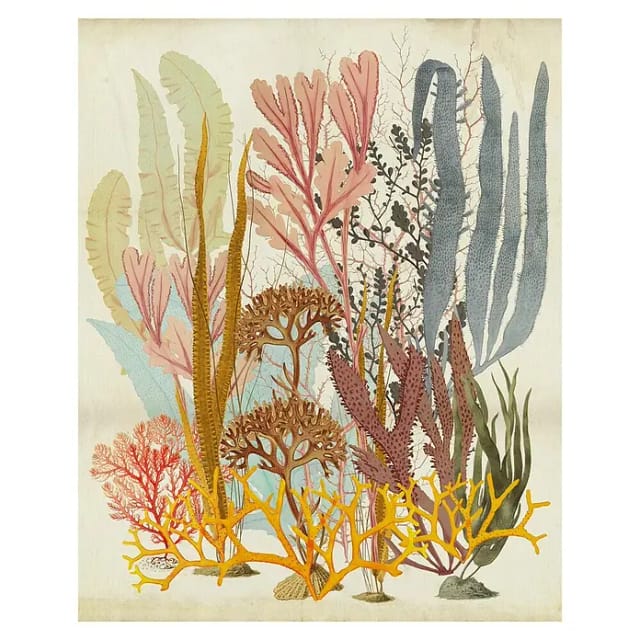 Komar Fototapete Catchy Corals 200 cm x 250 cm