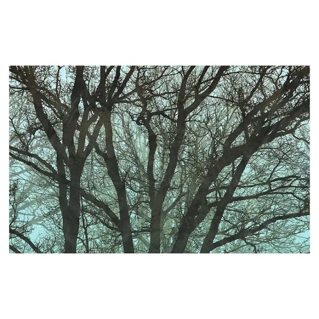 Komar Fototapete Whispering Woods 400 cm x 250 cm