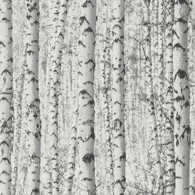 A.S. Création Vliestapete 3D Wald Weiß
