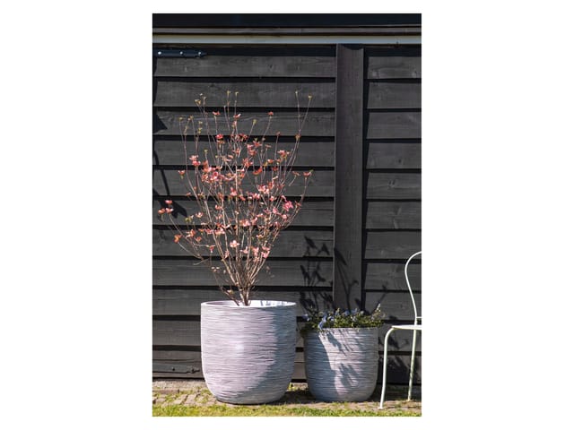 Capi Pflanztopf Nature Rib Kugel Riffel Ø 43 cm x 41 cm Elfenbein