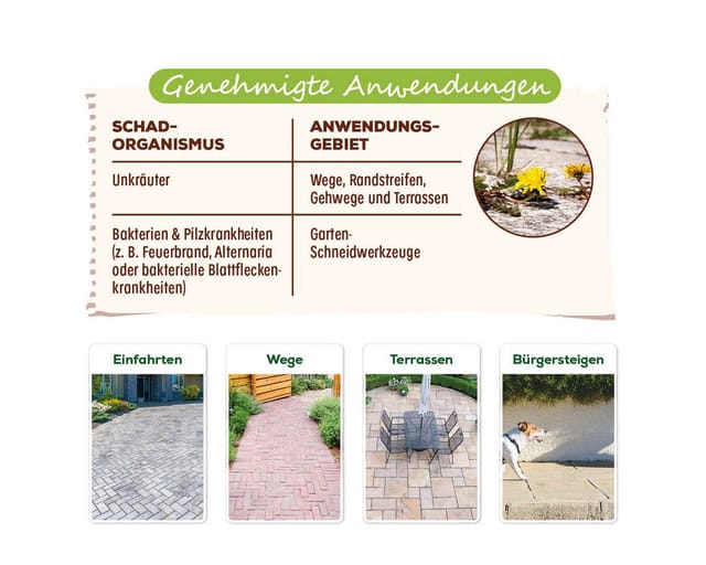 Solabiol Grundstoff Acetum 3,