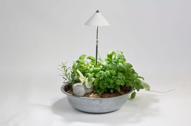 Parus by Venso LED-Pflanzenlampe Sunlite 7 W Weiß