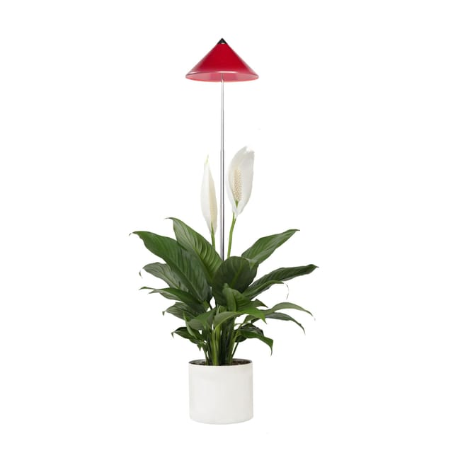 Parus by Venso LED-Pflanzenlampe Sunlite 7 W Rot