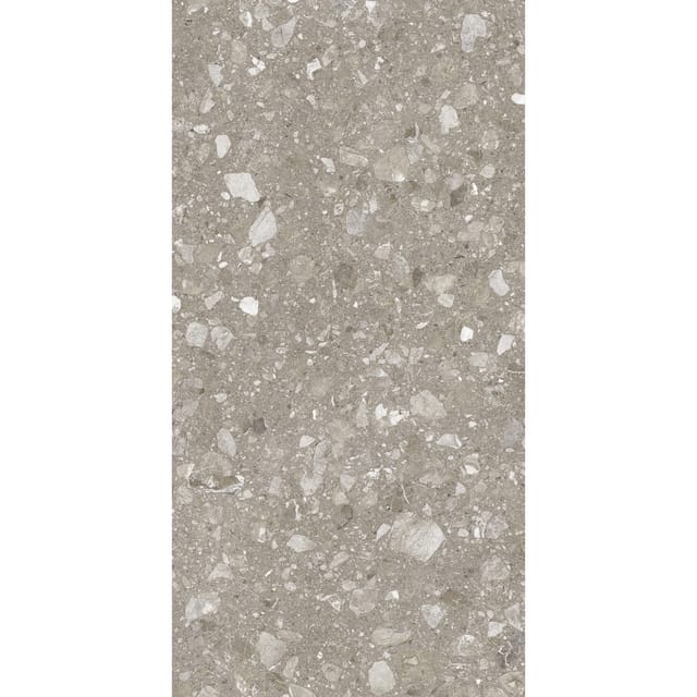 Bodenfliese Feinsteinzeug Taupe Glasiert Matt 60 cm x 120 cm
